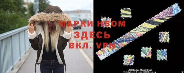 стаф Каменногорск