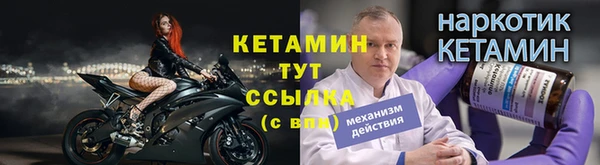 стаф Каменногорск
