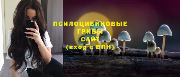 стаф Каменногорск