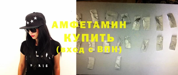 индика Новый Уренгой