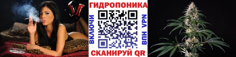 Шишки марихуана индика  сколько стоит  Липецк 
